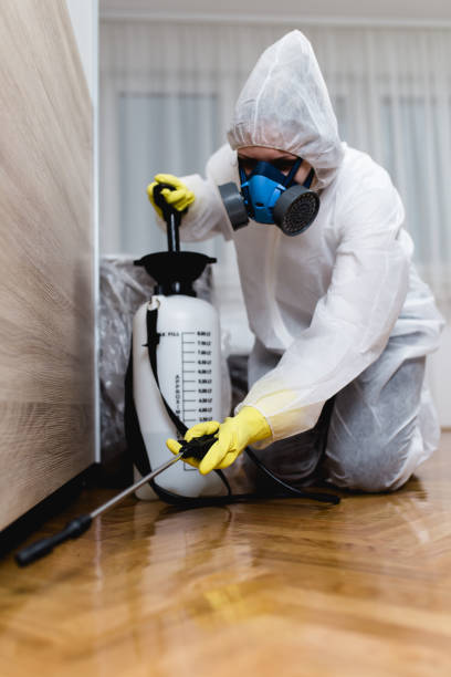 Best Indoor Pest Control  in Reminderville, OH